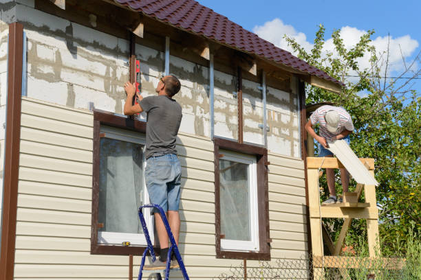 Best Custom Trim and Detailing for Siding  in Ly Lake, IL